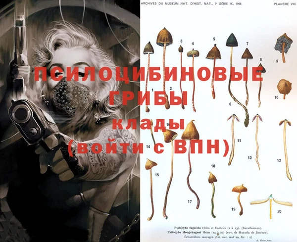 молекула духа Алексин