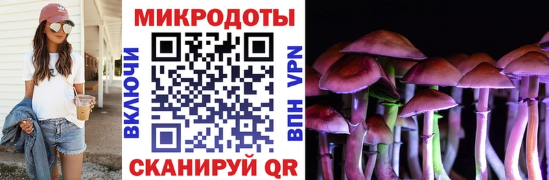 Псилоцибиновые грибы Psilocybine cubensis  Миасс 