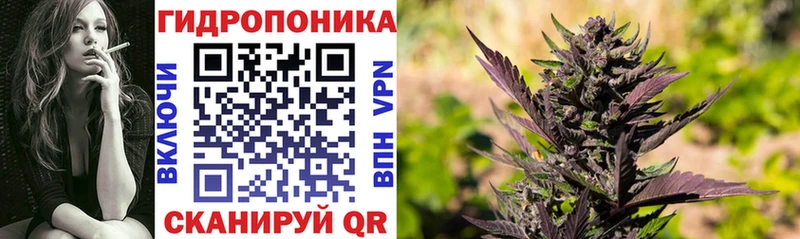 Бошки марихуана LSD WEED  магазин  наркотиков  Миасс 